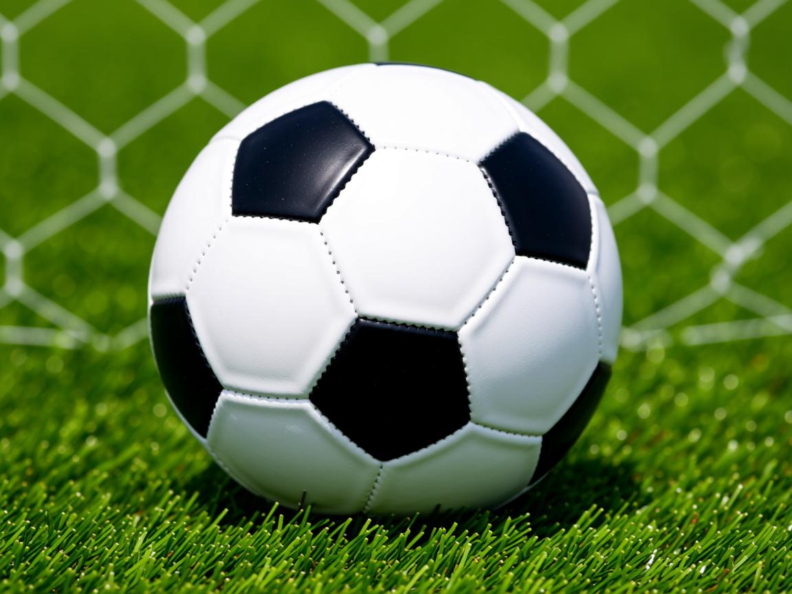 平博体育app-中小学体育教学方法创新,中小学常用体育教学方法及其基本要求 第3张